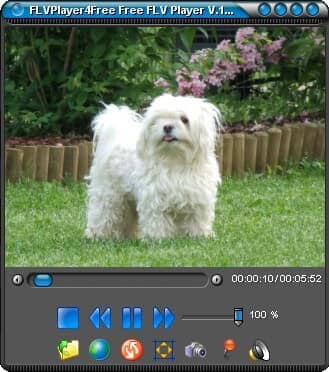 FLVPlayer4Free Screenshot